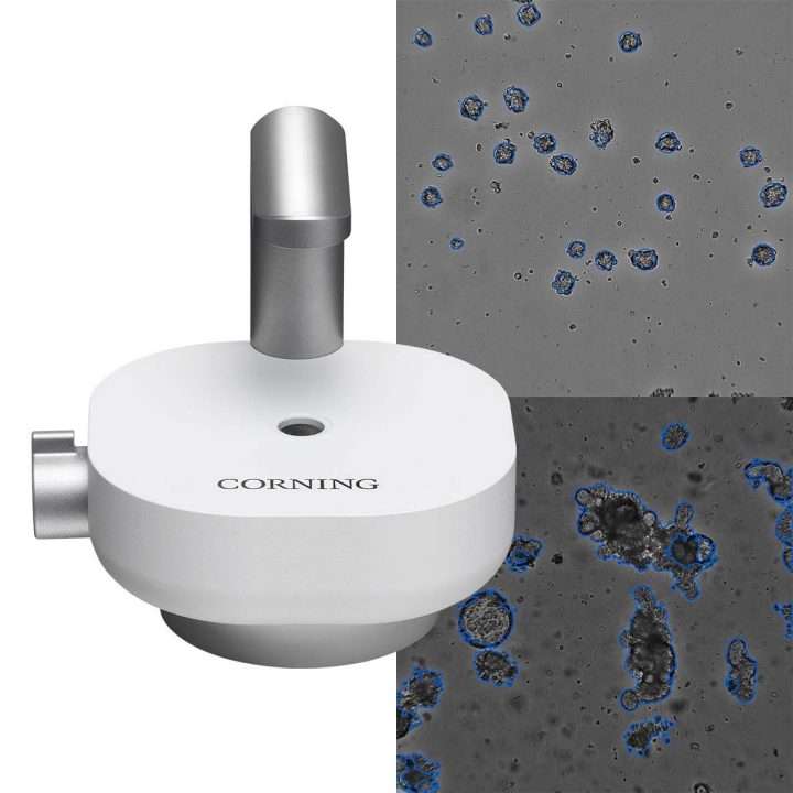 3D Cell Culture Analysis Streamlined by Organoid Counting Software for